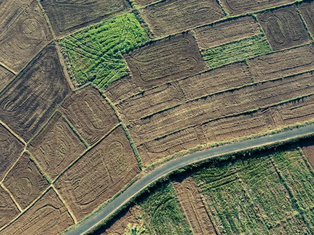 زمین و عرصه